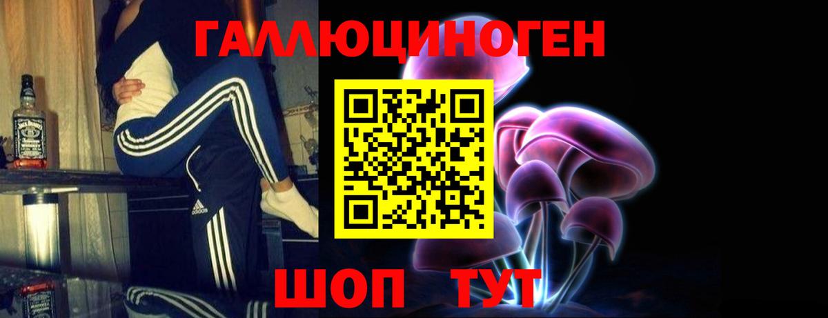 Псилоцибиновые грибы мицелий  Псилоцибиновые грибы Psilocybine cubensis  Ржев  Вход с VPN 
